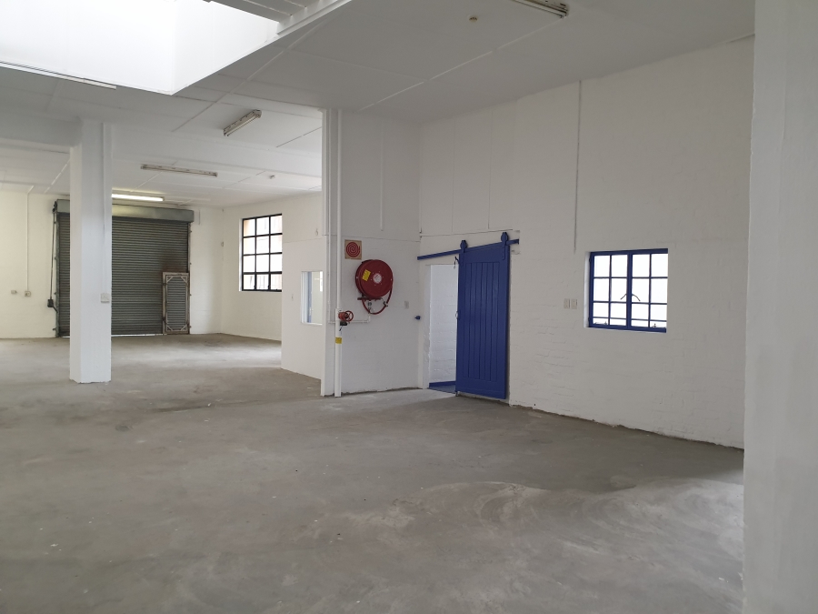 To Let commercial Property for Rent in Observatory Western Cape